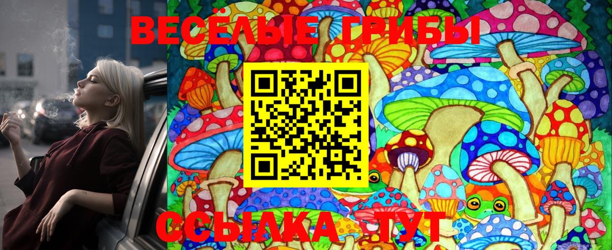 Псилоцибиновые грибы Cubensis Саяногорск